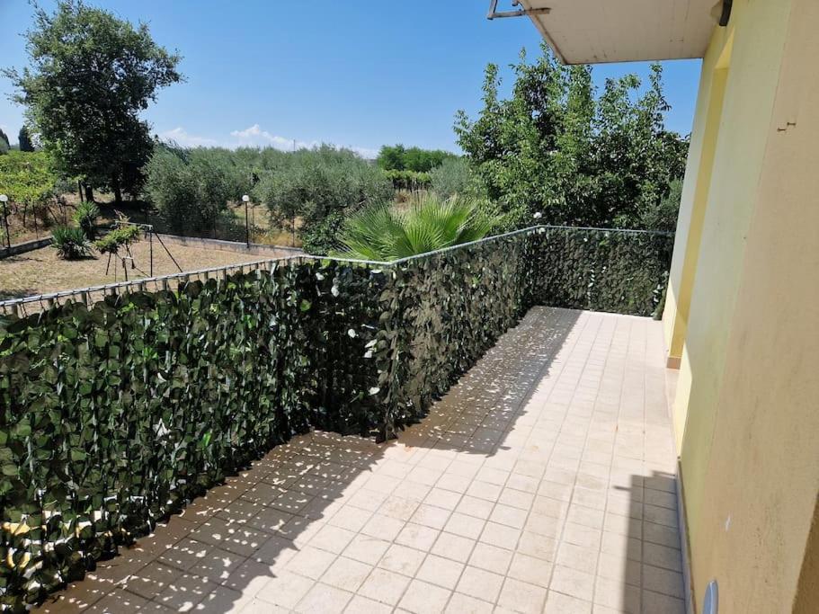 Flowers Apartment Villa Caldari Exterior photo